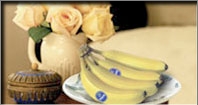 chiquita2tn